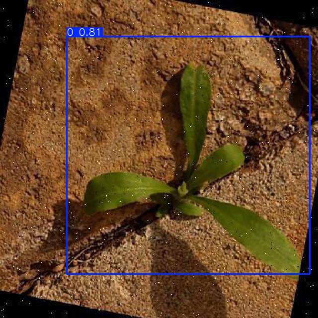 Annotated Image