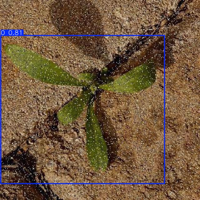 Annotated Image