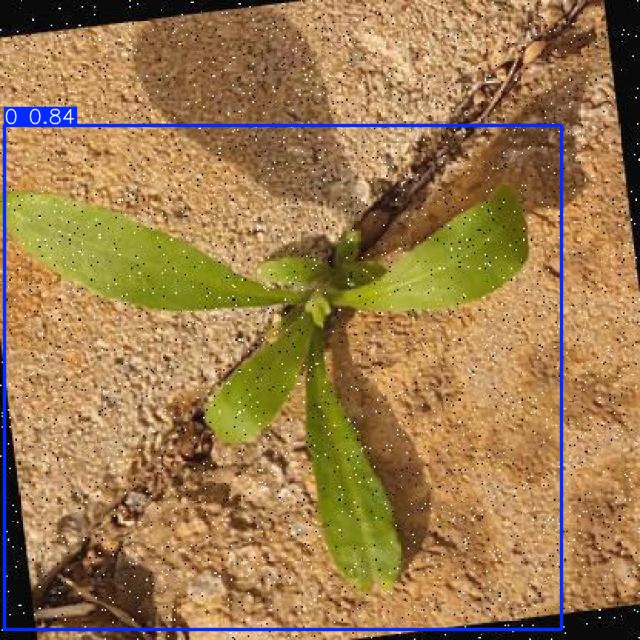Annotated Image