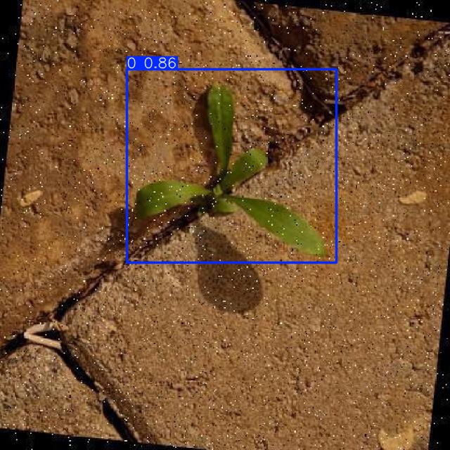 Annotated Image