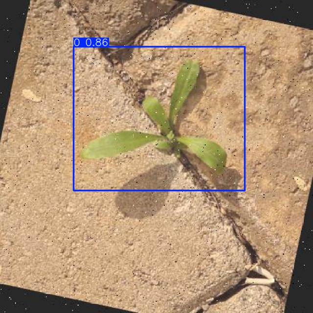 Annotated Image