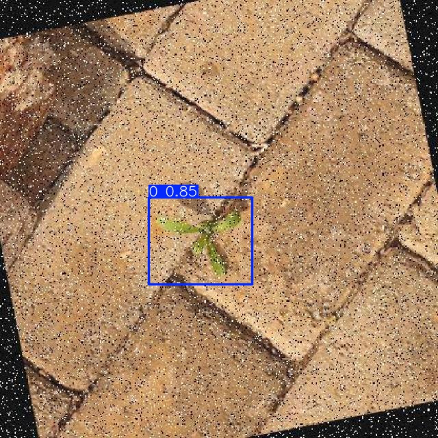 Annotated Image