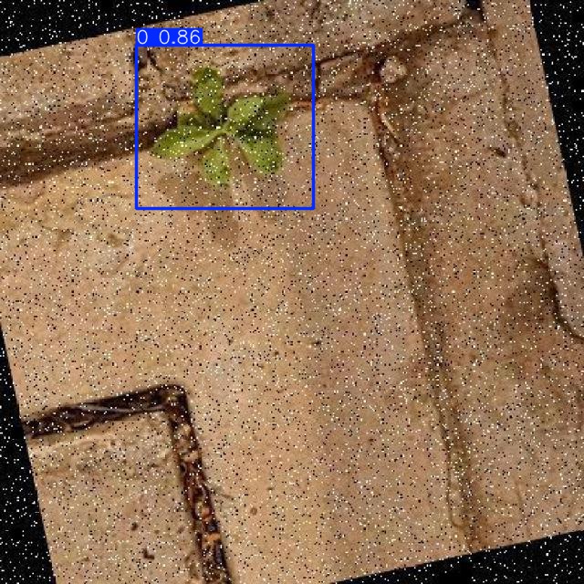Annotated Image