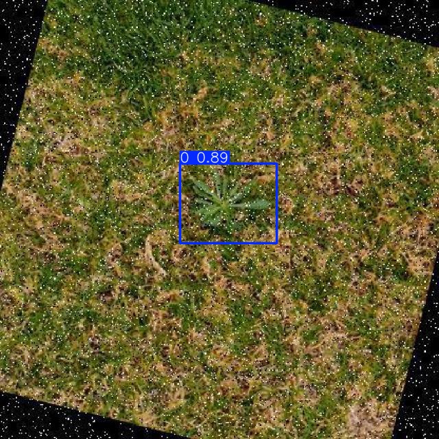 Annotated Image
