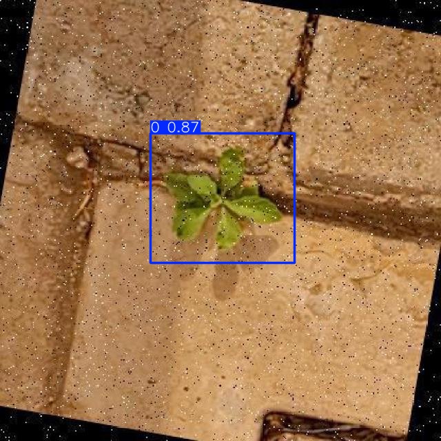 Annotated Image