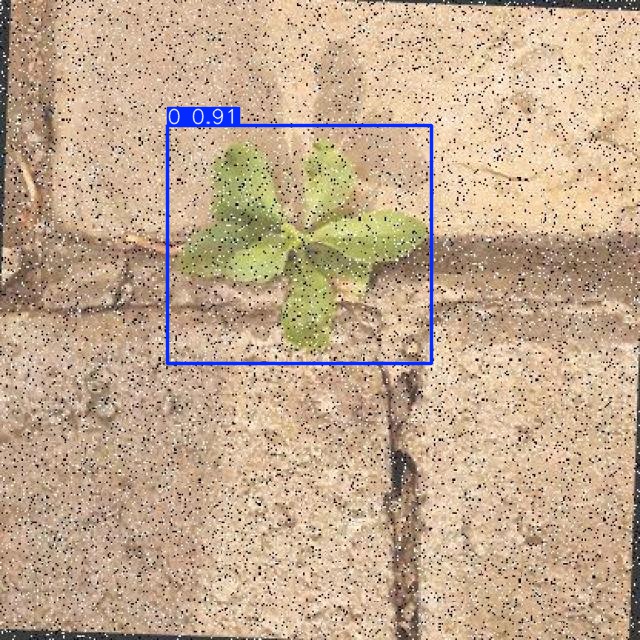 Annotated Image
