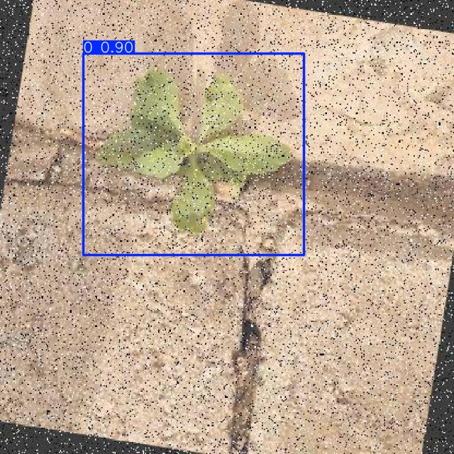 Annotated Image
