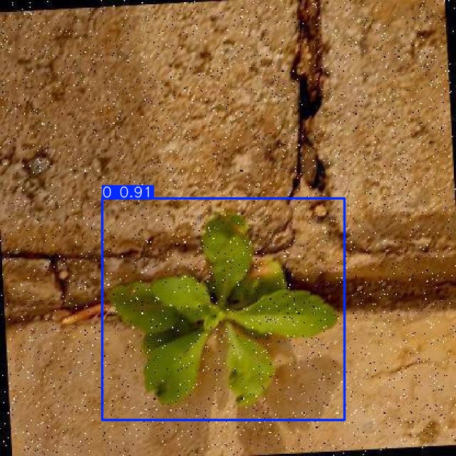 Annotated Image