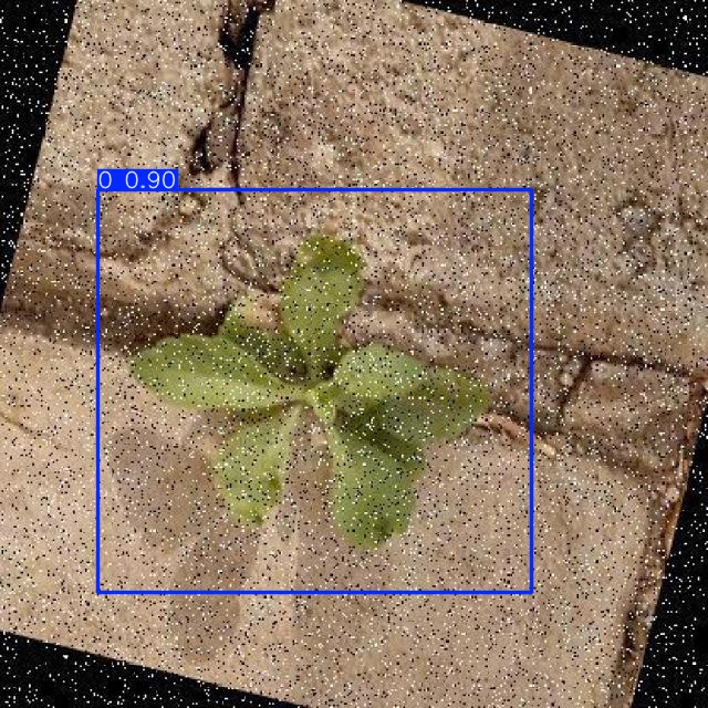 Annotated Image