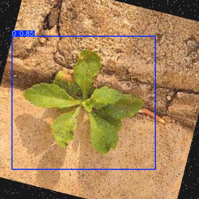 Annotated Image