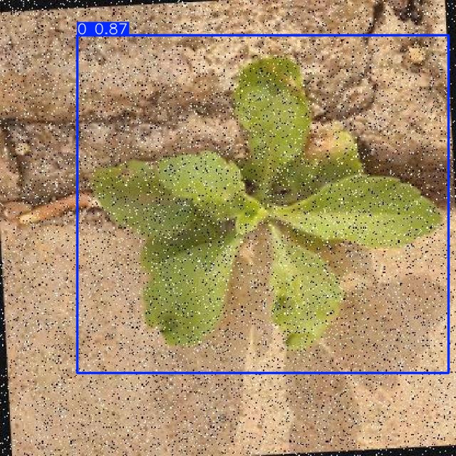 Annotated Image