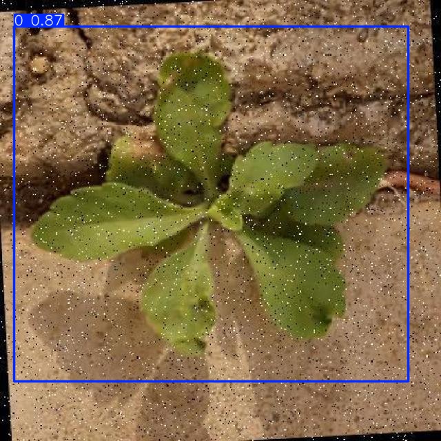 Annotated Image