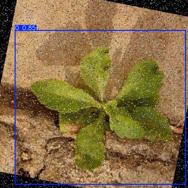 Annotated Image