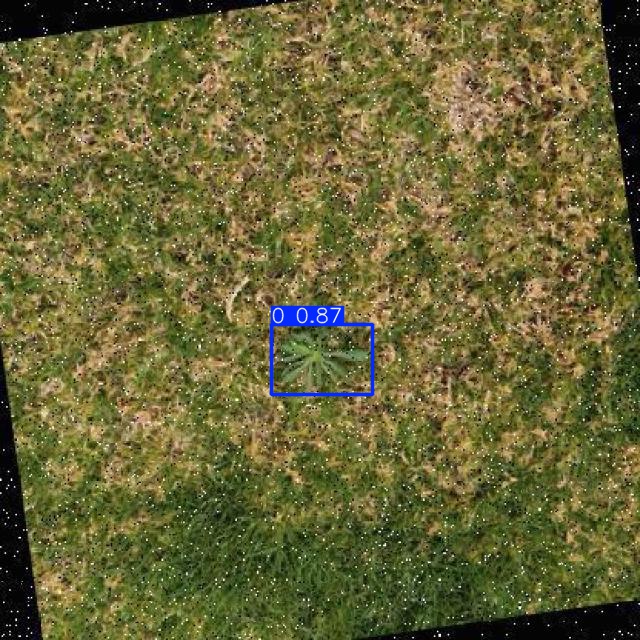 Annotated Image