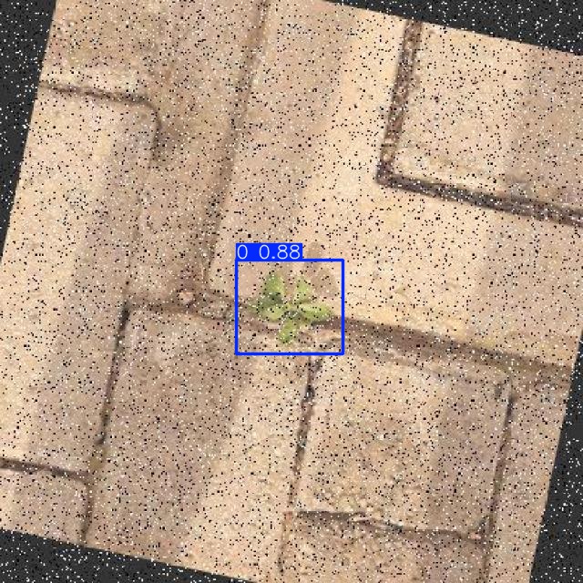 Annotated Image