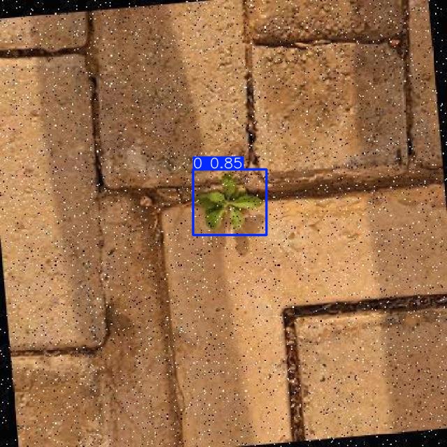 Annotated Image