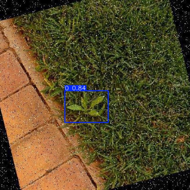 Annotated Image
