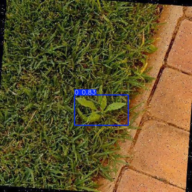 Annotated Image