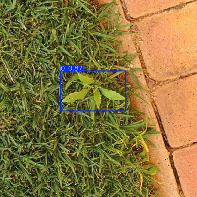 Annotated Image