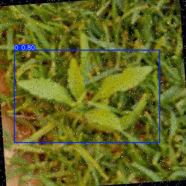 Annotated Image