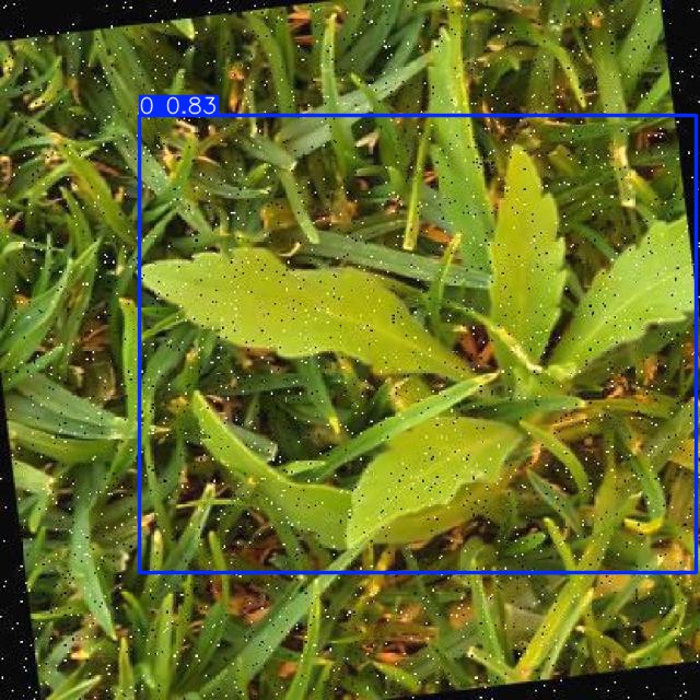 Annotated Image