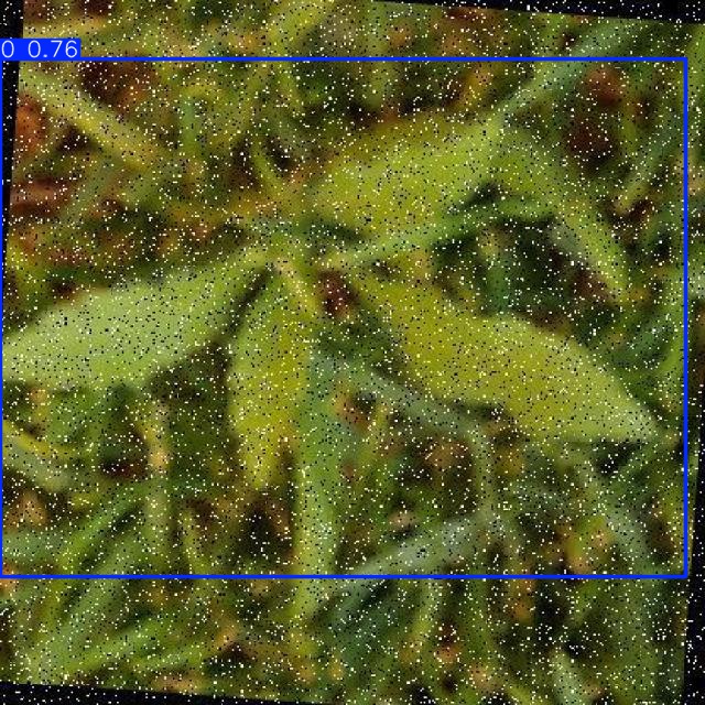 Annotated Image