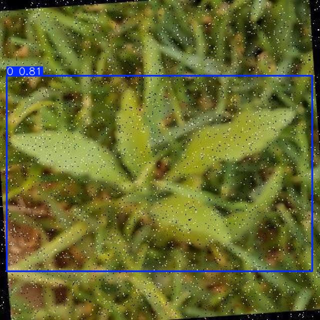 Annotated Image