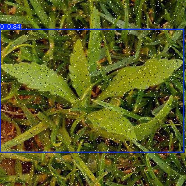 Annotated Image