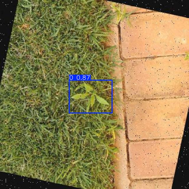 Annotated Image