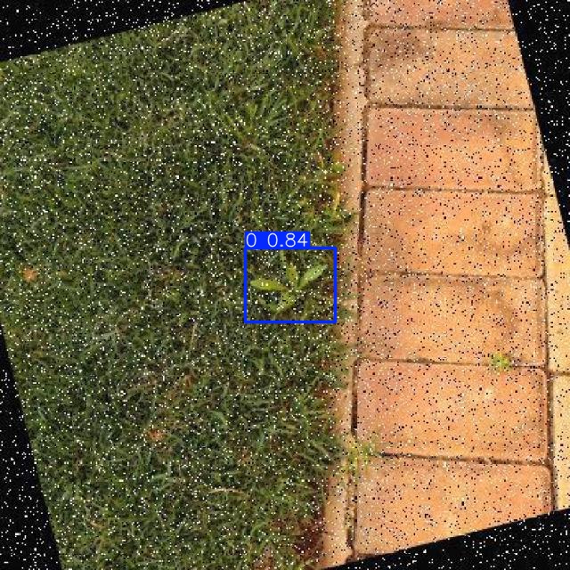 Annotated Image