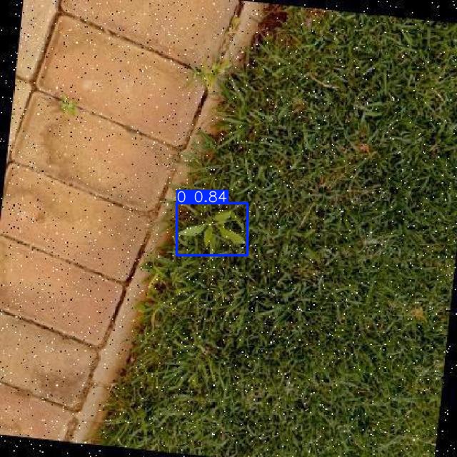 Annotated Image