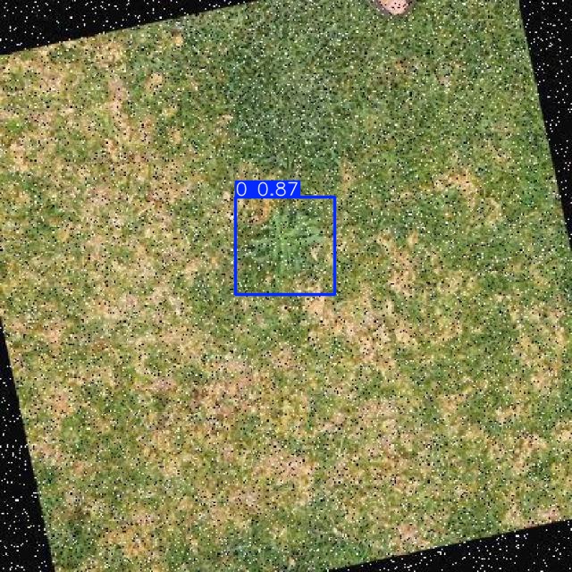 Annotated Image