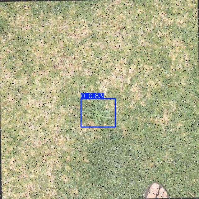 Annotated Image