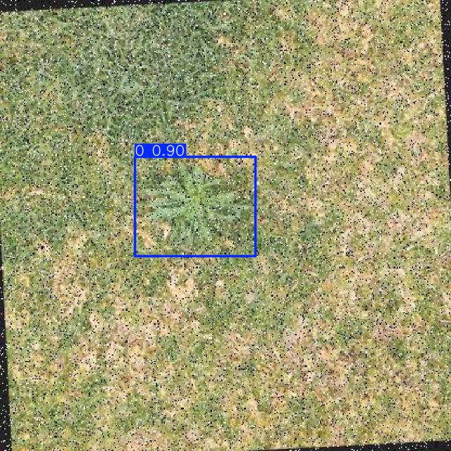 Annotated Image