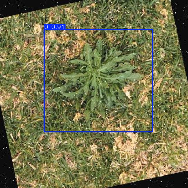 Annotated Image