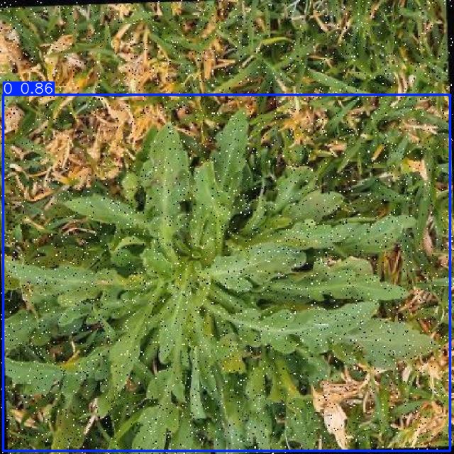 Annotated Image