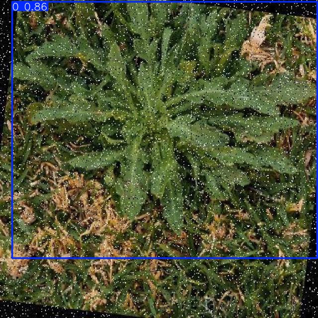 Annotated Image