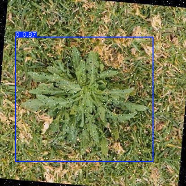 Annotated Image