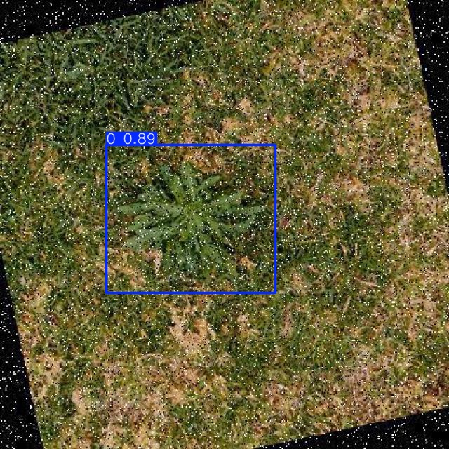 Annotated Image