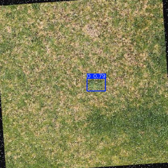 Annotated Image