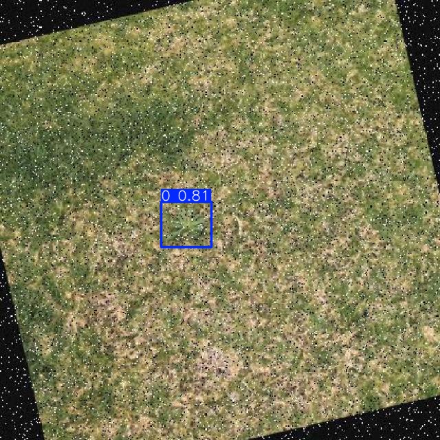 Annotated Image