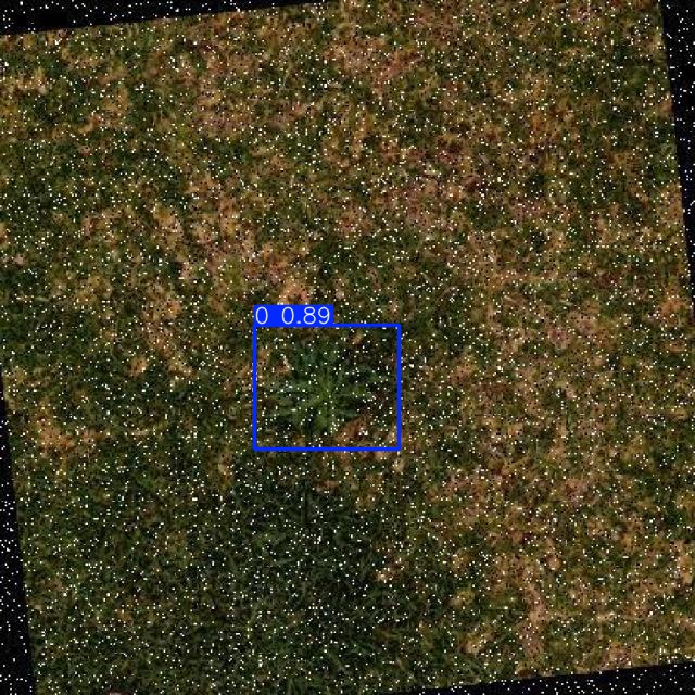 Annotated Image