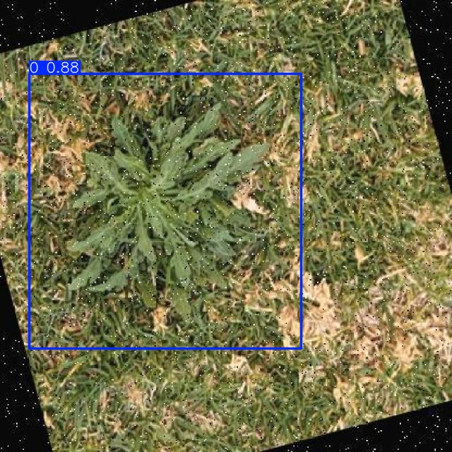 Annotated Image
