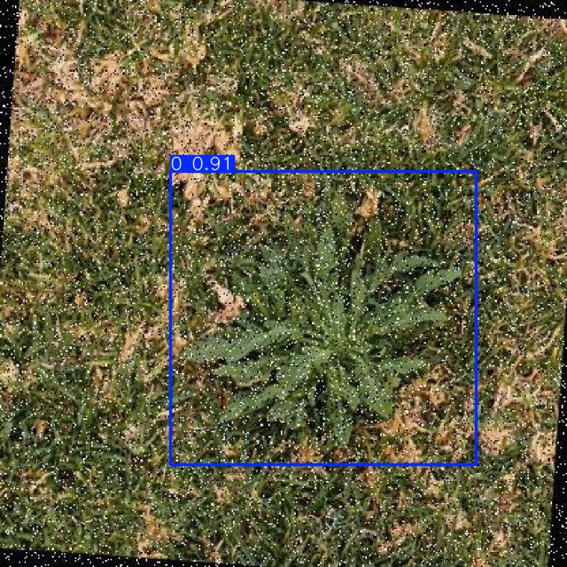 Annotated Image
