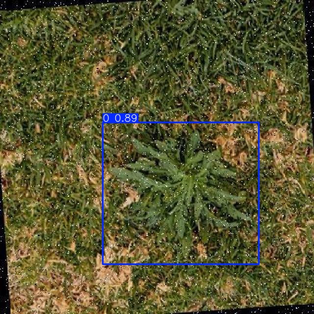 Annotated Image