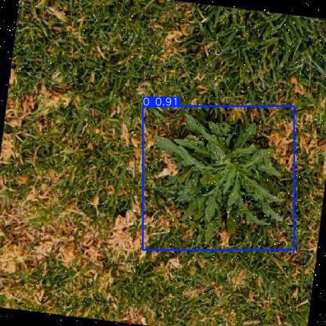 Annotated Image