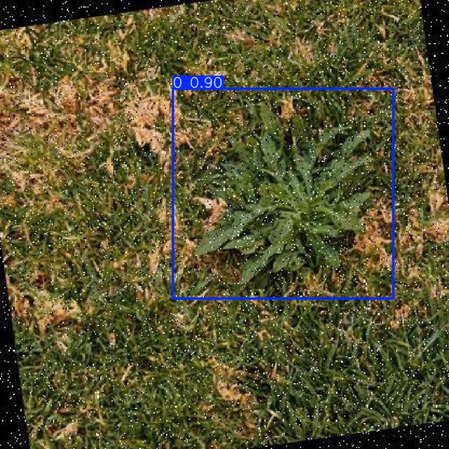 Annotated Image