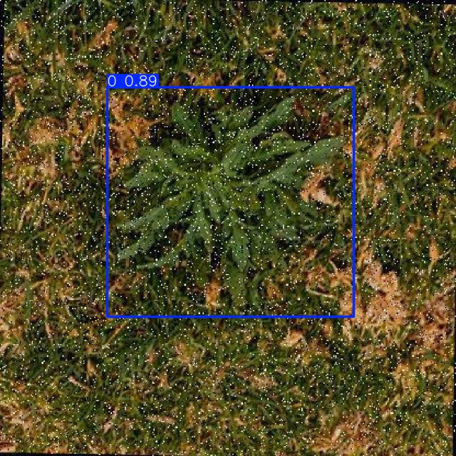 Annotated Image