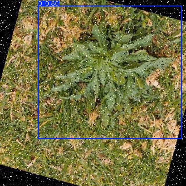 Annotated Image