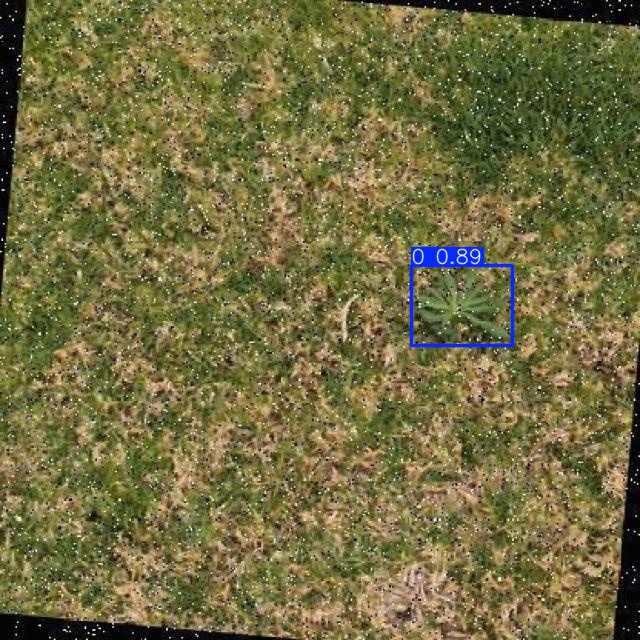 Annotated Image